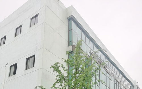 苏州昱腾与智慧光彩光电签约劳务外包业务