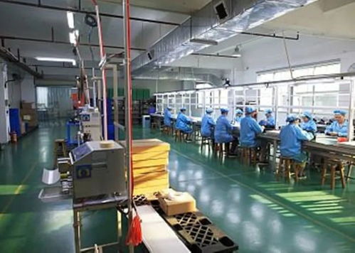舒城 筑巢引凤反哺乡里,做活创业就业文章