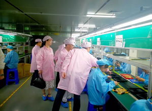 王纯前往星星精密科技 深圳 公司走访调研