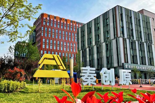 陕西西咸新区 民营企业创新活力迸发